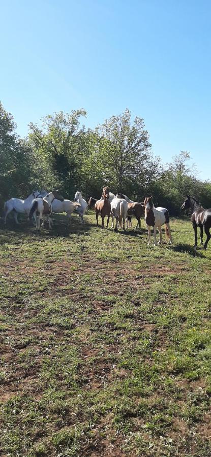 Gites Les Ecuries Saserang Mouilleron Luaran gambar